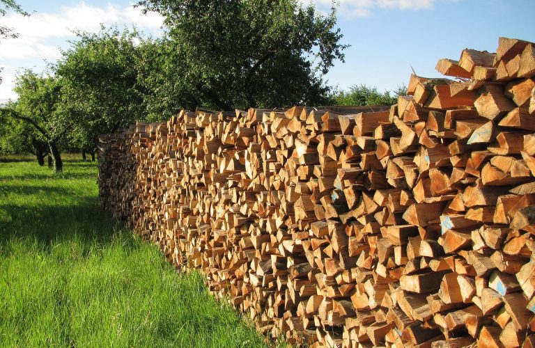 Kaminholz Brennholz abholen bei Brennholzhandel Andersen